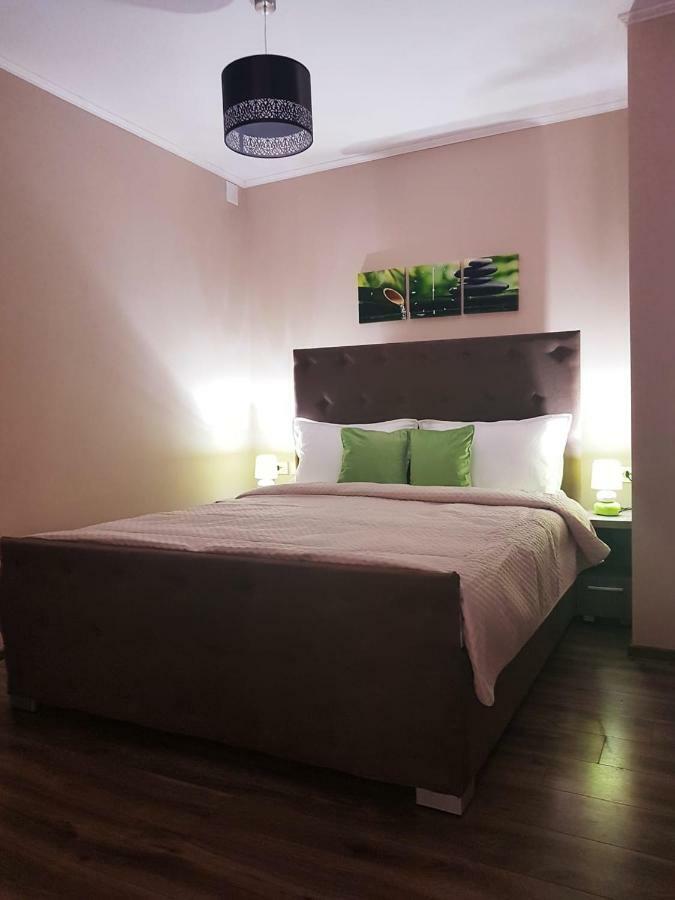 Irina Apartments Timisoara Exterior photo