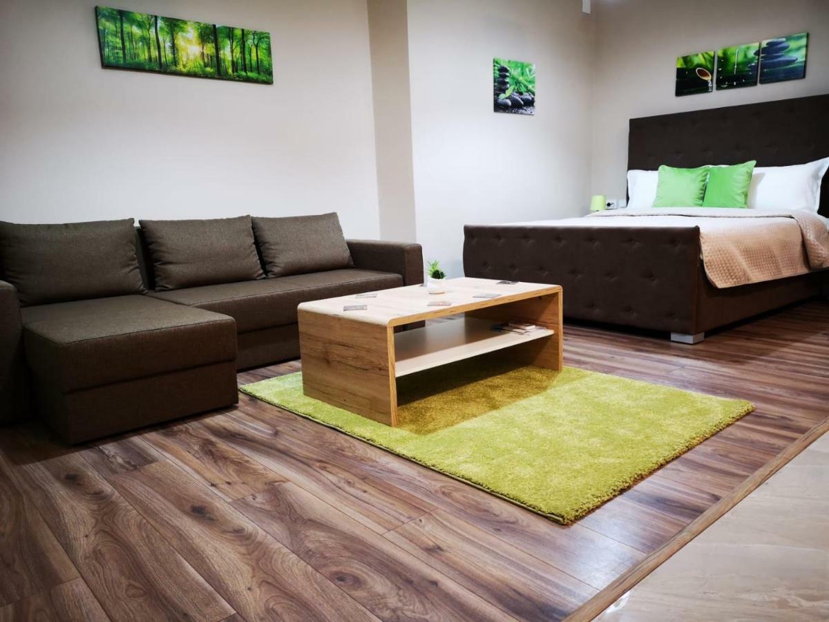 Irina Apartments Timisoara Exterior photo
