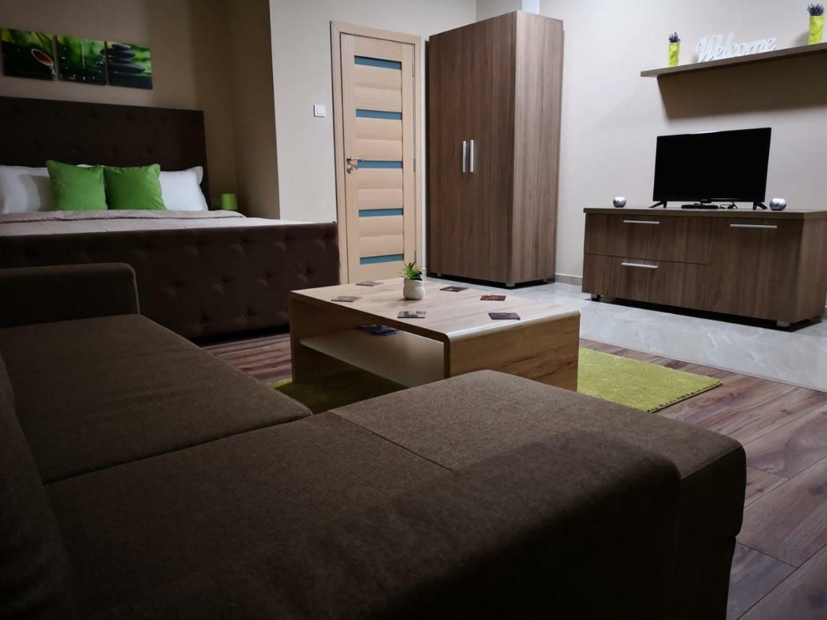 Irina Apartments Timisoara Exterior photo