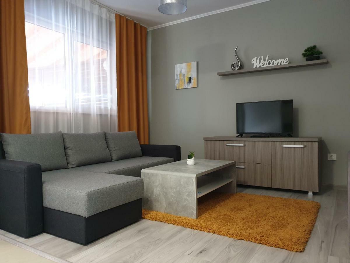 Irina Apartments Timisoara Exterior photo