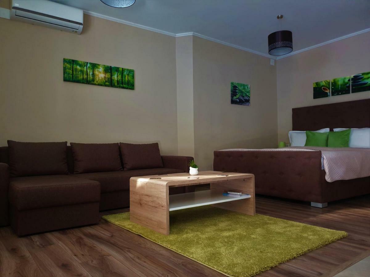 Irina Apartments Timisoara Exterior photo